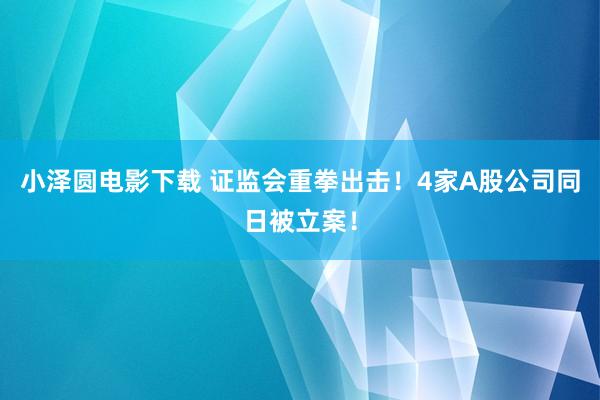 小泽圆电影下载 证监会重拳出击！4家A股公司同日被立案！