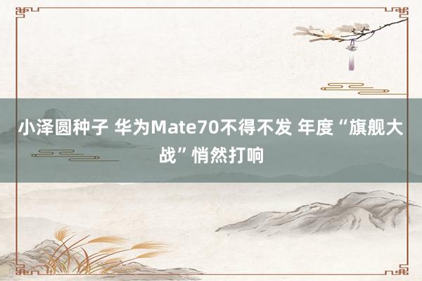 小泽圆种子 华为Mate70不得不发 年度“旗舰大战”悄然打响