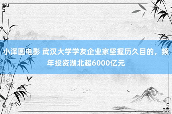小泽圆电影 武汉大学学友企业家坚握历久目的，频年投资湖北超6000亿元