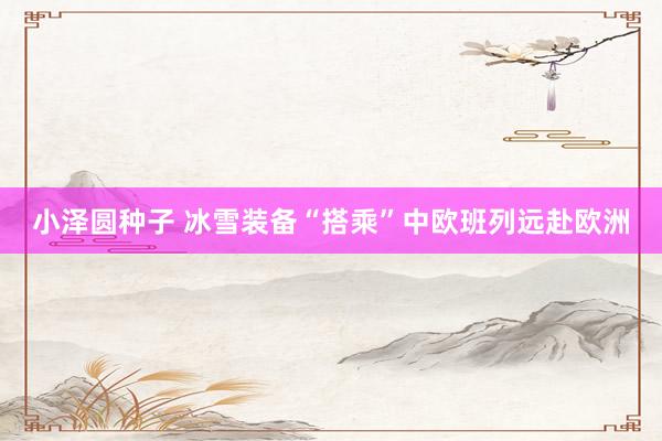 小泽圆种子 冰雪装备“搭乘”中欧班列远赴欧洲