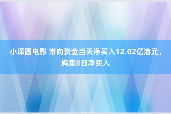 小泽圆电影 南向资金当天净买入12.02亿港元，鸠集8日净买入
