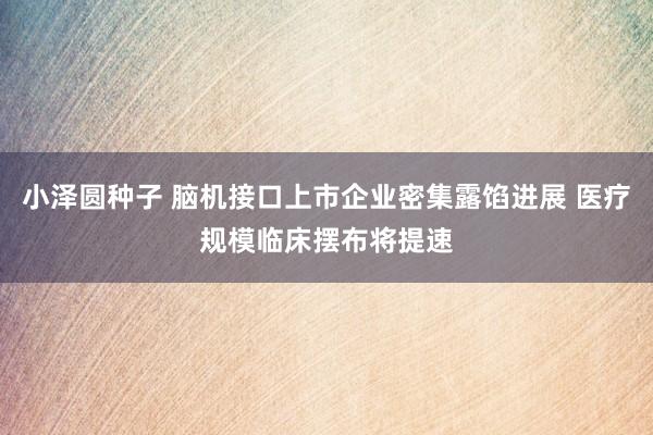 小泽圆种子 脑机接口上市企业密集露馅进展 医疗规模临床摆布将提速