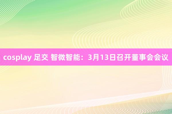 cosplay 足交 智微智能：3月13日召开董事会会议