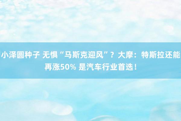 小泽圆种子 无惧“马斯克迎风”？大摩：特斯拉还能再涨50% 是汽车行业首选！
