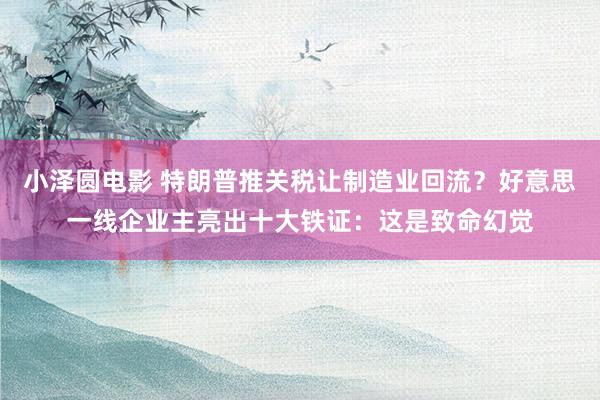 小泽圆电影 特朗普推关税让制造业回流？好意思一线企业主亮出十大铁证：这是致命幻觉