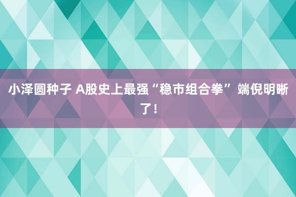 小泽圆种子 A股史上最强“稳市组合拳” 端倪明晰了！