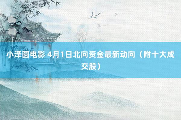 小泽圆电影 4月1日北向资金最新动向（附十大成交股）