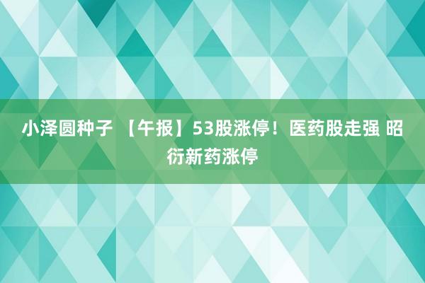 小泽圆种子 【午报】53股涨停！医药股走强 昭衍新药涨停